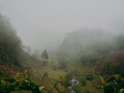 Beste Brasilien Reisezeit - Klima und Jahreszeiten 5 NEBLINA 4 - Brasilien Individual