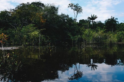 Die schönsten Brasilien Städte: Entdecken Sie die beeindruckendsten Orte des Landes 6 Manaus State of Amazonas Brazil 4 - Brasilien Individual