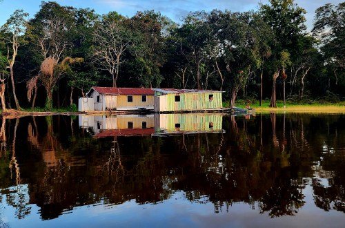 Brasilien Tiere - Artenvielfalt und Tierwelt 5 Brasil tiere 10 4 - Brasilien Individual