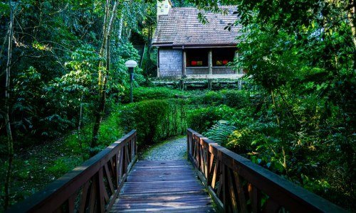 Curitibia 1 4 - Brasilien Individual