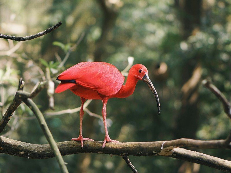 2 Wochen Brasilien Highlights Rundreise 11 2 Wochen Brasilien Highlights Rundreise