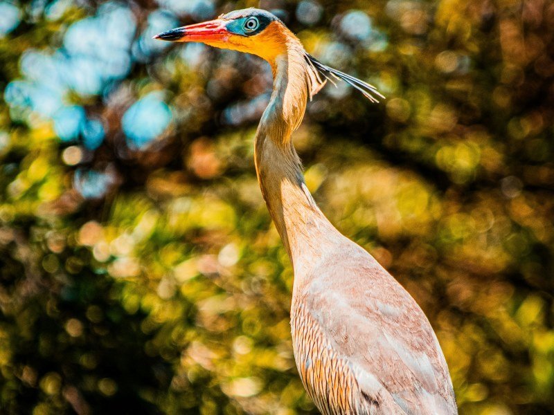 4 Wochen Südamerika Rundreise 2 4 Wochen Südamerika Rundreise