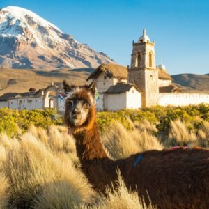 Cart 1 Sรผdamerika Rundreise