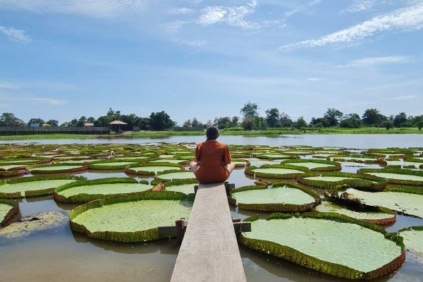 Die 10 schönsten Brasilien Inseln: Paradiesische Ziele für Ihren Traumurlaub 10 Ilha de Marajo Brasilien Inseln 4 - Brasilien Individual