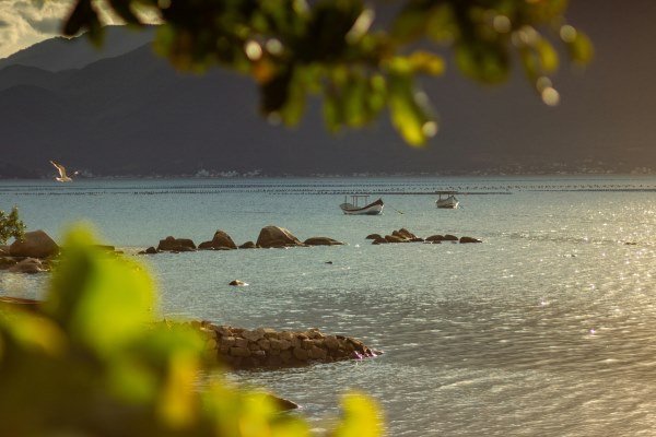 Die 10 schönsten Brasilien Inseln: Paradiesische Ziele für Ihren Traumurlaub 8 Ilha do Campeche Brasilien Inseln 4 - Brasilien Individual
